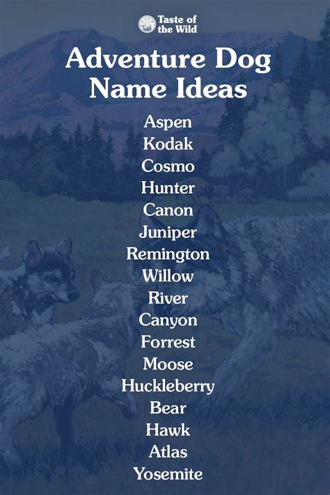 Pet Names Inspired by Nature for Your Outdoor-Loving Companion